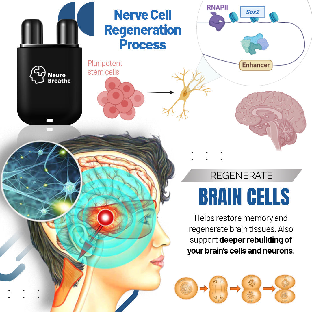 š„šæNeuroBreathe⢠Neuro-Regenerative Inhaler