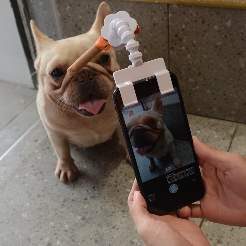 ✨2023 Hot sale✨Selfie Stick for Pets