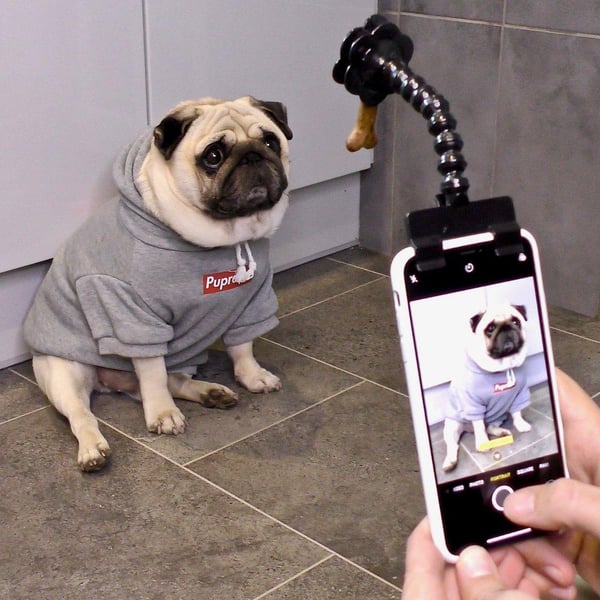 ✨2023 Hot sale✨Selfie Stick for Pets