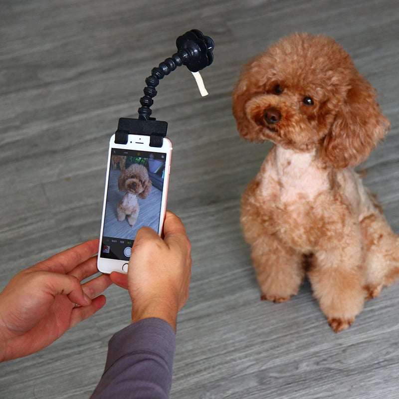 ✨2023 Hot sale✨Selfie Stick for Pets