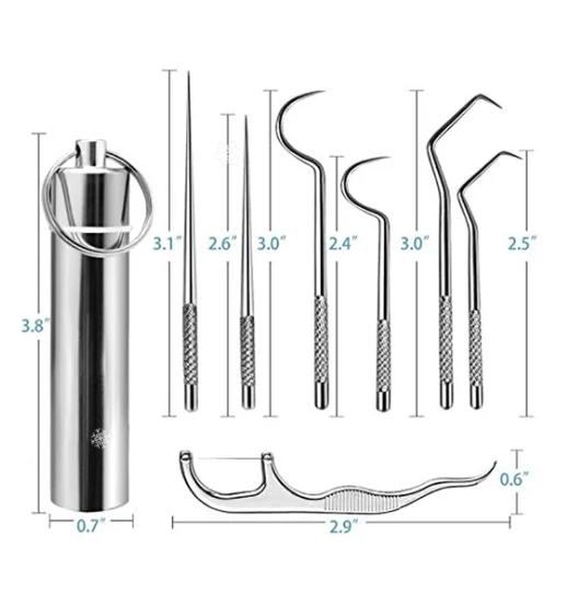 Stainless Steel Toothpick Set🔥