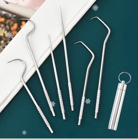 Stainless Steel Toothpick Set🔥