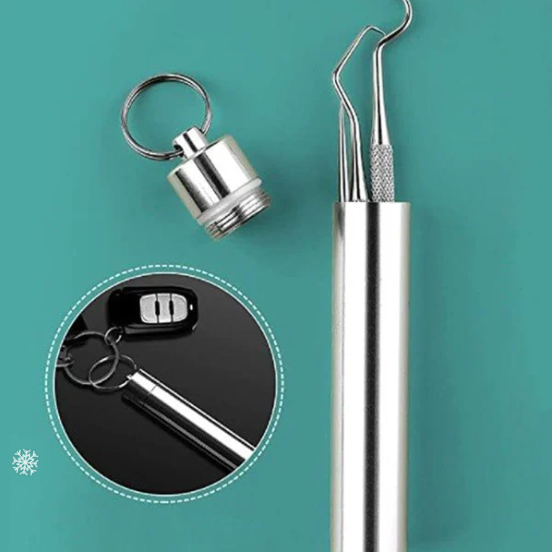 Stainless Steel Toothpick Set🔥