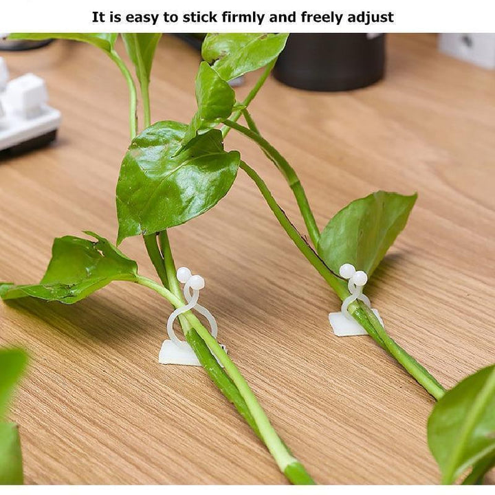 Plant Climbing Wall Clip(40Pcs/Set)